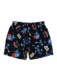 Space Jam Boxers