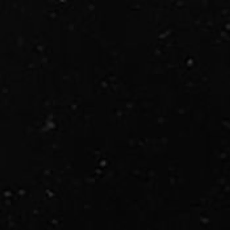 Double Sided Mother of Pearl Round Beveled Stud Set