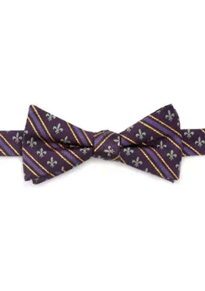 Men's Mardi Gras Stripe Bow Tie