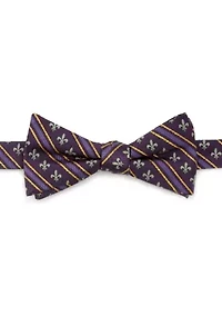 Men's Mardi Gras Stripe Bow Tie