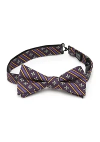 Men's Mardi Gras Stripe Bow Tie
