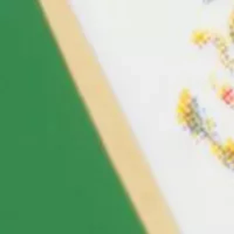 Mexico Flag Cufflinks