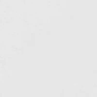 Silver Texas Lapel Pin