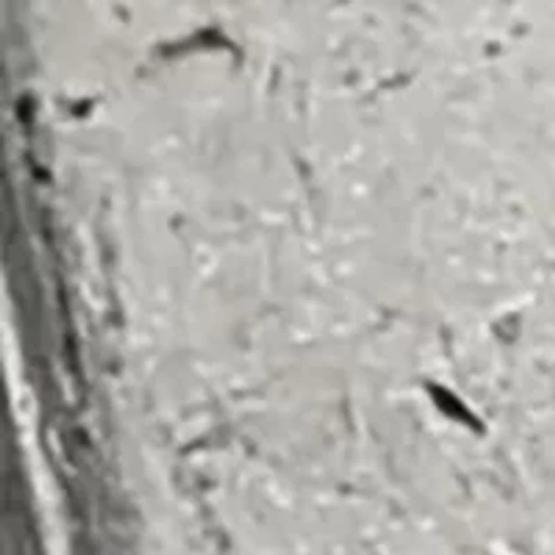 Arkham Asylum Lapel Pin