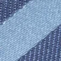 Donald Duck Stripe Blue Tie