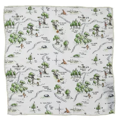 Winnie The Pooh Map Pocket Square