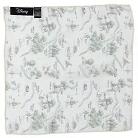 Winnie The Pooh Map Pocket Square