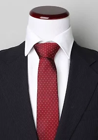 Targaryen Dragon Sigil Tie