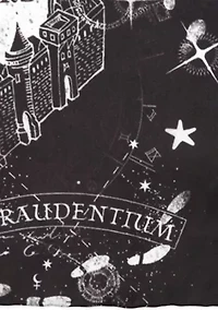 Marauder's Map Pocket Square