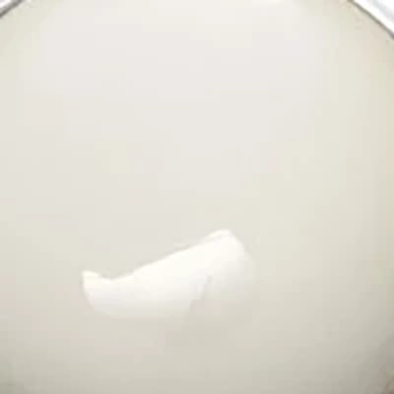 Silver and Mother of Pearl Studs