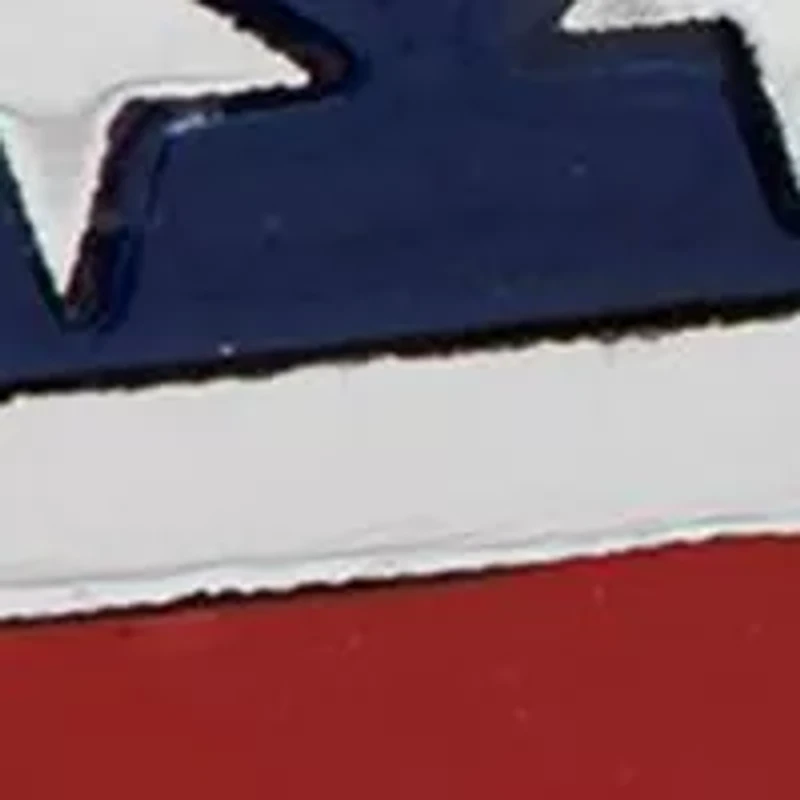 Stainless Steel Republican Elephant Cufflinks