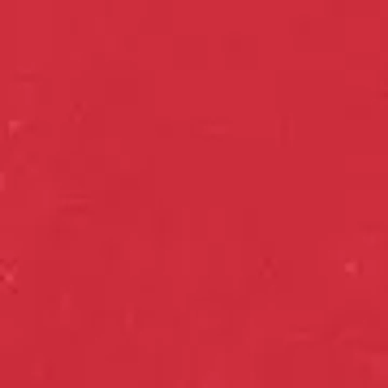 NCAA Alabama Crimson Tide University of Alabama Lapel Pin