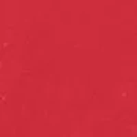 NCAA Alabama Crimson Tide University of Alabama Lapel Pin