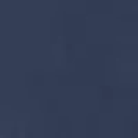 Auburn Tigers Tie Bar