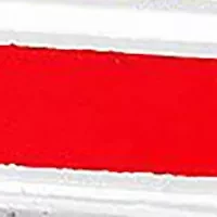 Democratic Donkey Cufflinks