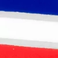 Republican Elephant Cufflinks