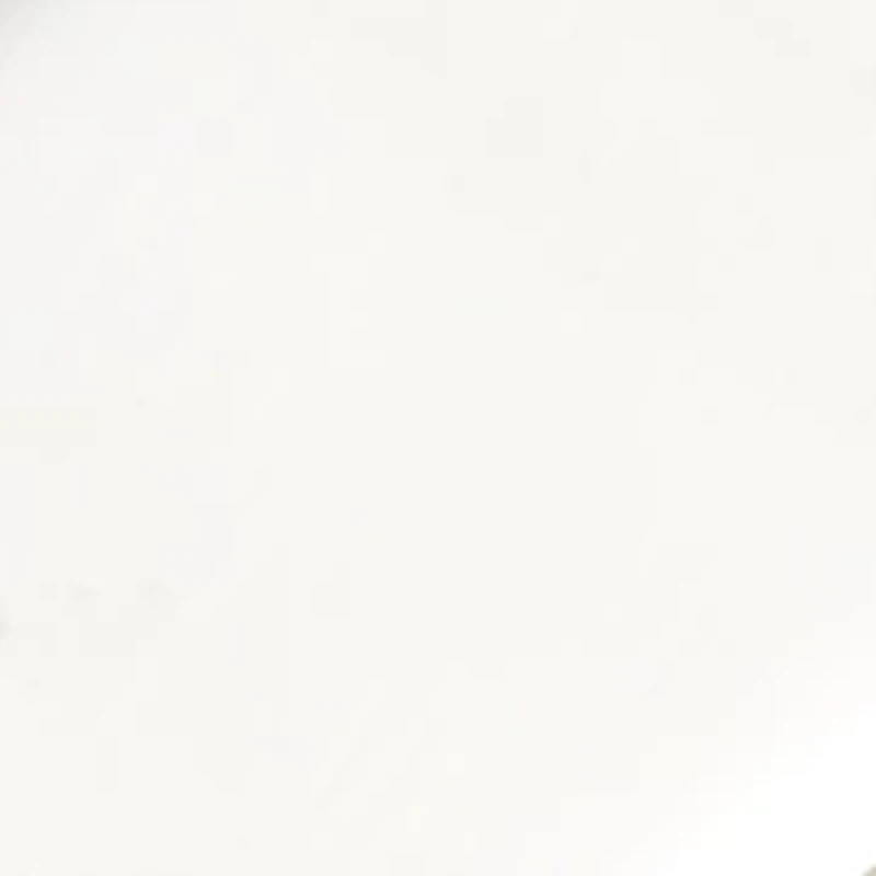 Florida State Seminoles Tie Bar