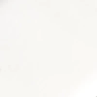 Florida State Seminoles Tie Bar