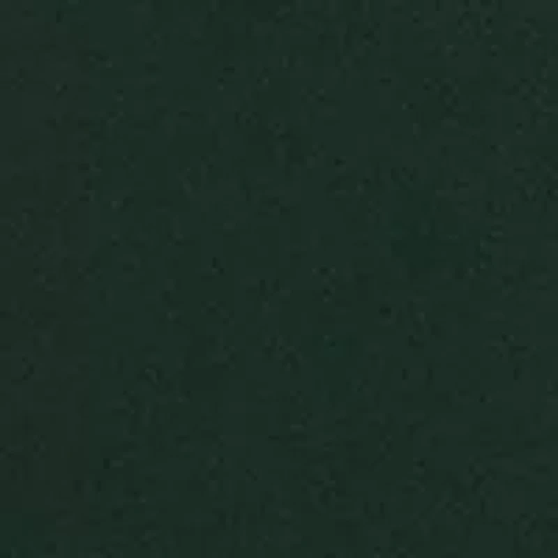 Michigan State Spartans Lapel Pin