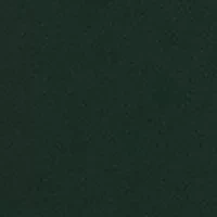 Michigan State Spartans Lapel Pin