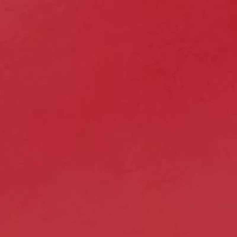 Ohio State Buckeyes Cushion Money Clip