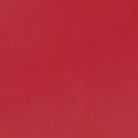 Ohio State Buckeyes Cushion Money Clip