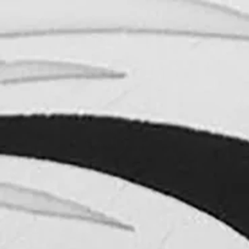 Philadelphia Eagles Lapel Pin