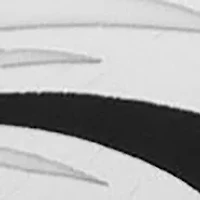 Philadelphia Eagles Lapel Pin