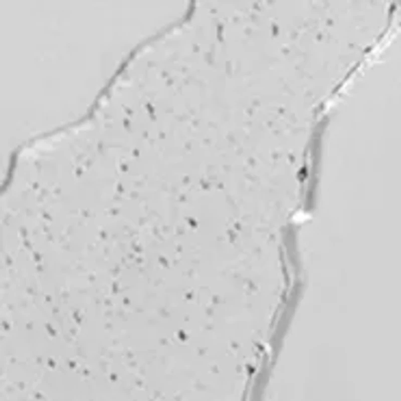 Toronto Raptors Silver Edition Cufflinks