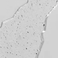 Toronto Raptors Silver Edition Cufflinks