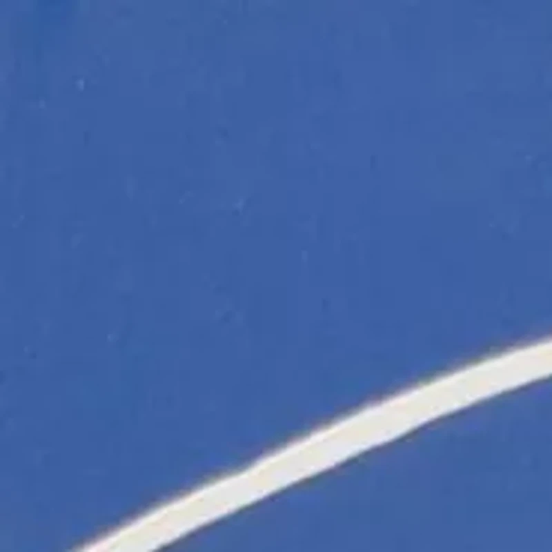 LA Dodgers Sugar Skull Cufflinks