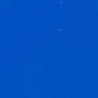 Kentucky Wildcats Money Clip