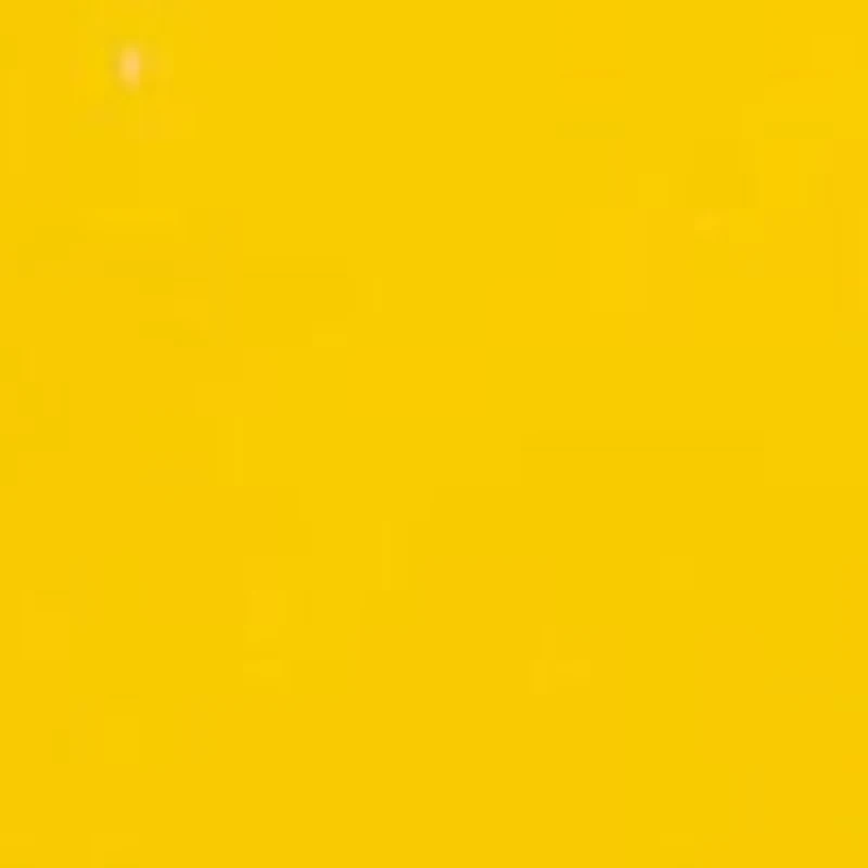 University of Michigan Wolverines Lapel Pin