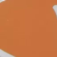 Texas Longhorns Tie Bar