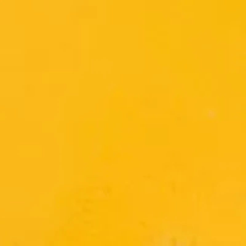 West Virginia Mountaineers Lapel Pin