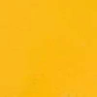 West Virginia Mountaineers Lapel Pin