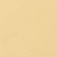 Gold Delta Shield Lapel Pin