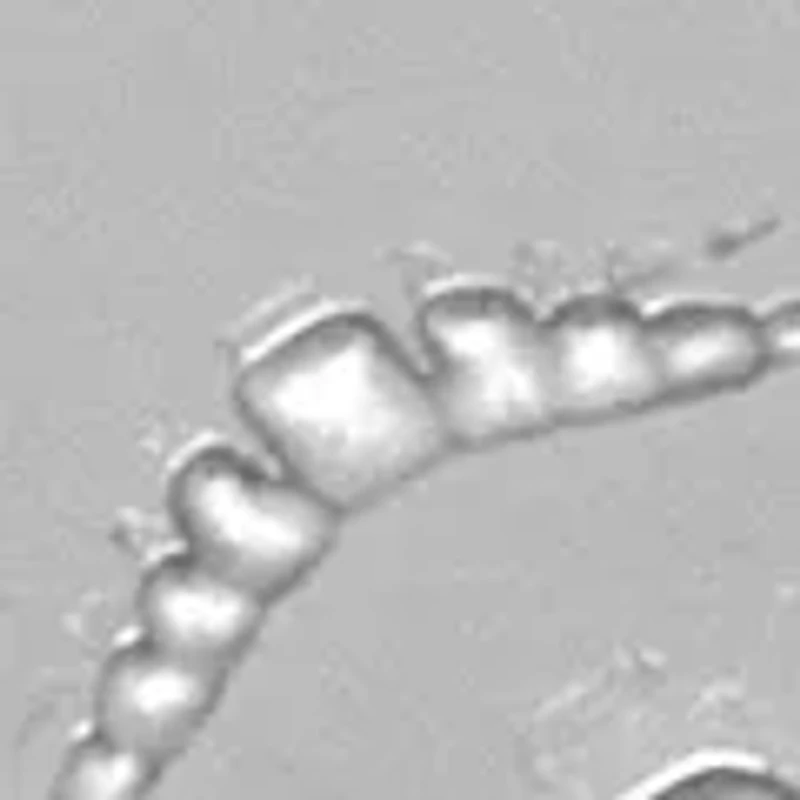 Stainless Steel Storm Trooper Tie Bar