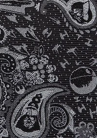 Vader Paisley Black and White Tie