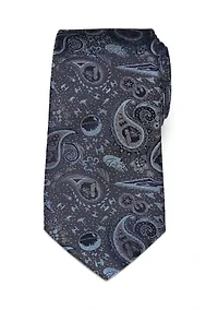 Vader Paisley Blue and Gray Tie