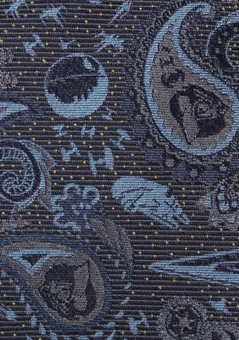 Vader Paisley Blue and Gray Tie