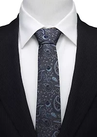 Vader Paisley Blue and Gray Tie