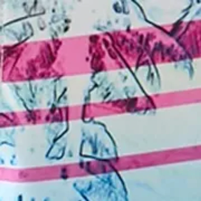 Calumet Printed Board Shorts