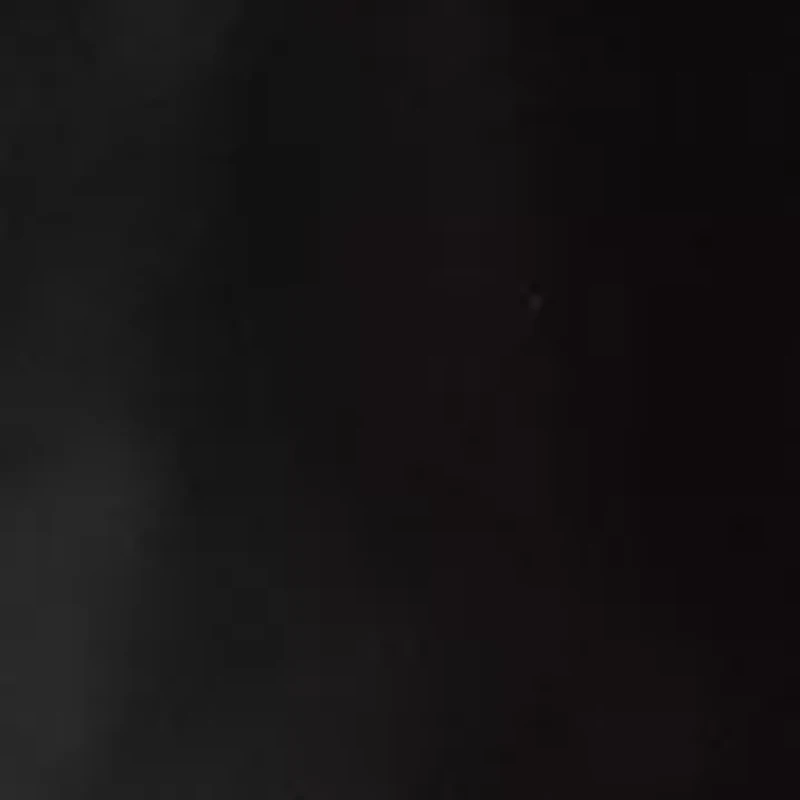 Villet Solid Swim Trunks