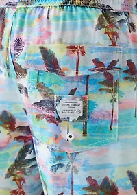 Rockford Volley Swim Trunks