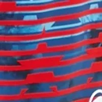 Republic Printed Board Shorts