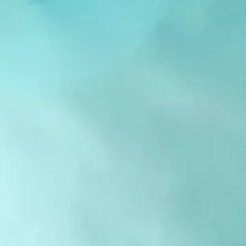 Brandon Board Shorts