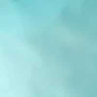 Brandon Board Shorts