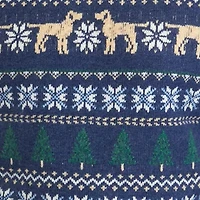 Men's Hound Fairisle Crew Neck Sweater
