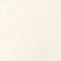 Solid Crew Neck Sweater